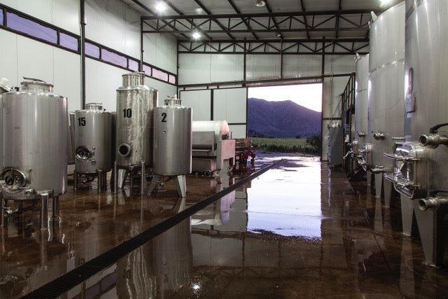 FINCA BESOAIN - BODEGA VIÑEDO